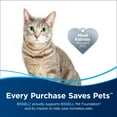thumbnail image 7 of BISSELL Multi-Surface PET Formula for Crosswave and Spinwave, 64oz, 22951, 7 of 7