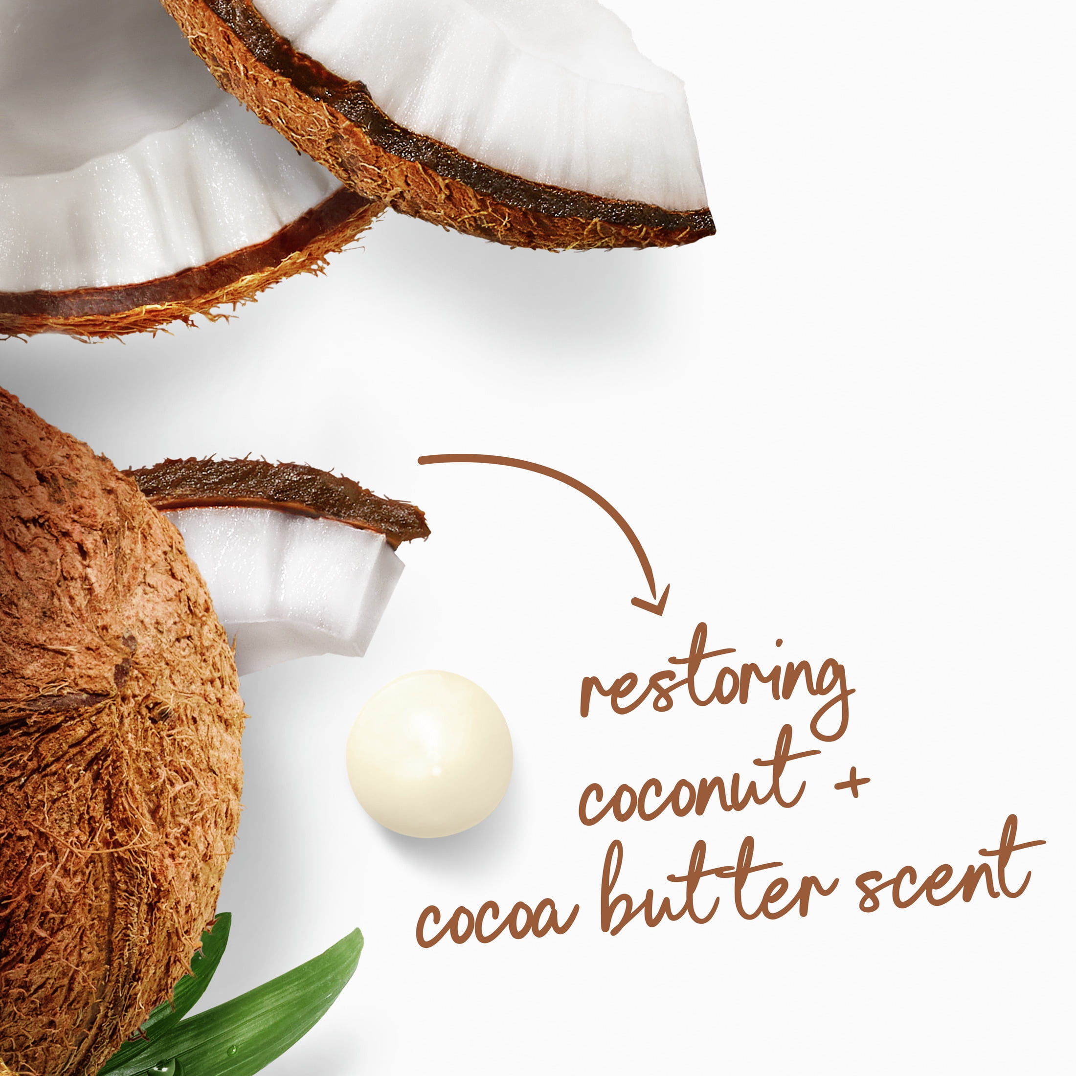 Dove Women's Body Wash Restoring Coconut & Cocoa Butter Gentle Skin Cleanser All Skin, 20 oz