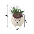 thumbnail image 2 of Artificial Succulent Mix in 6" Large Brown Hedgehog Ceramic Planter, 2 of 2