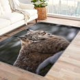 thumbnail image 1 of Bobcat Rug 6x9 Area Rugs for Bedroom Living Room, Wildcat Area Rug, Wild Animal Carpet Machine Washable Non-Slip Large Rug, Soft Low Pile Area Rug, Indoor Decorative Rug d&ip112, 1 of 6