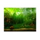 thumbnail image 2 of Póster De Fondo De Acuario Póster Adhesivo Con Efecto 3D De Estilo Hierba De Agua Fondos De Tanque De Peces Papel Tapiz ANGGREK  Otros, 2 of 8