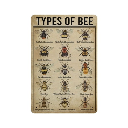 Types of Bee tin sign, Bee Knowledge tin sign, Bee Lover Gifts. Bee Vintage Wall Art,Bee Collection tin sign,Retro art, home living room, country house, metal tin sign 12x16 inches