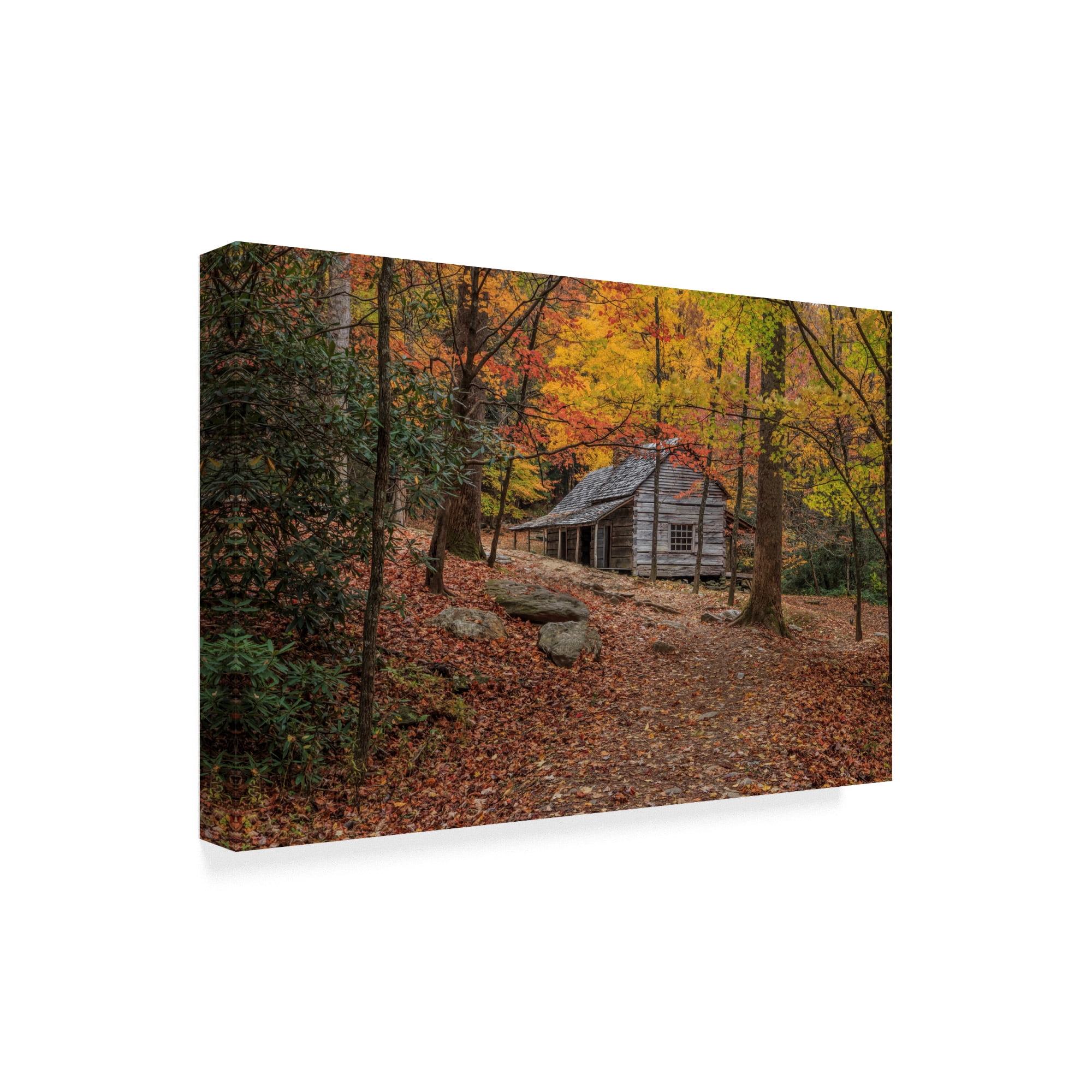 Trademark Fine Art 'Bud Ogle Place Composition 2' Canvas Art by Galloimages Online