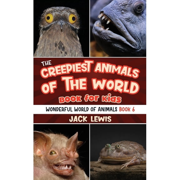 Discovery Kids: Animal Obsession Spider Obsession!: Facts, Quizzes, and ...