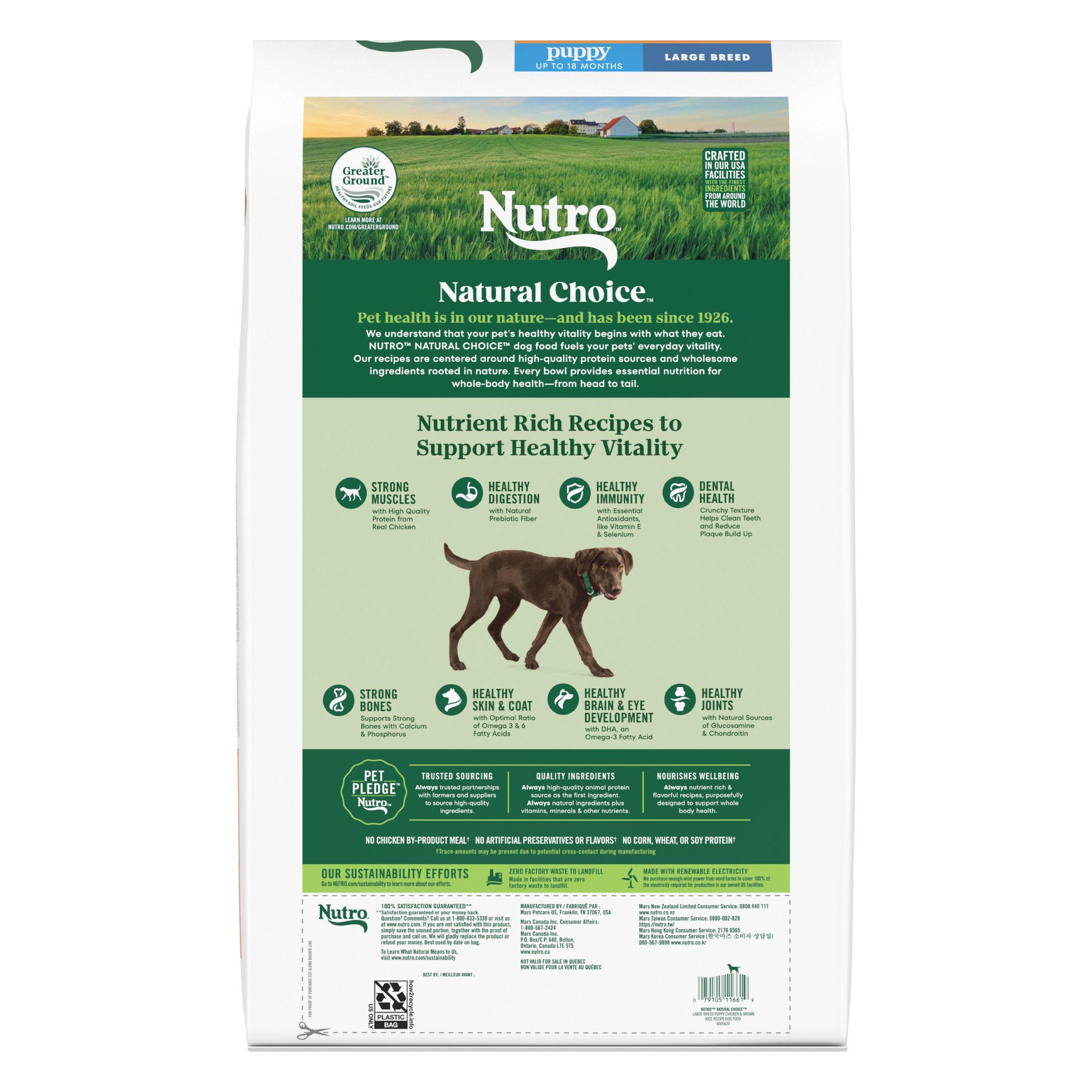 NUTRO Natural Choice Large Breed Puppy Dry Dog Food photo 2