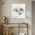 thumbnail image 3 of Doggy Daydreams I Canvas Vintage Dog Drawings by Art Remedy, White Frame, 30" x 30", 3 of 7