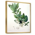 thumbnail image 2 of Designart Vintage Botaniques XX ART MURAL À CADRE FLOTTÉ, 2 of 4