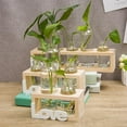 thumbnail image 3 of PANuYIN Plant Terrarium Glass 3 Bottles with Wooden Stand Desktop Planter Vase Decoration - Love Style, 3 of 5