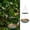A, variant on Windproof Hanging Bird Bath 2-in-1, Weatherproof Resin Platform Bird Feeder & Waterer with Wood Grain Texture, Outdoor Bird Bath with Metal Chain for Garden Patio