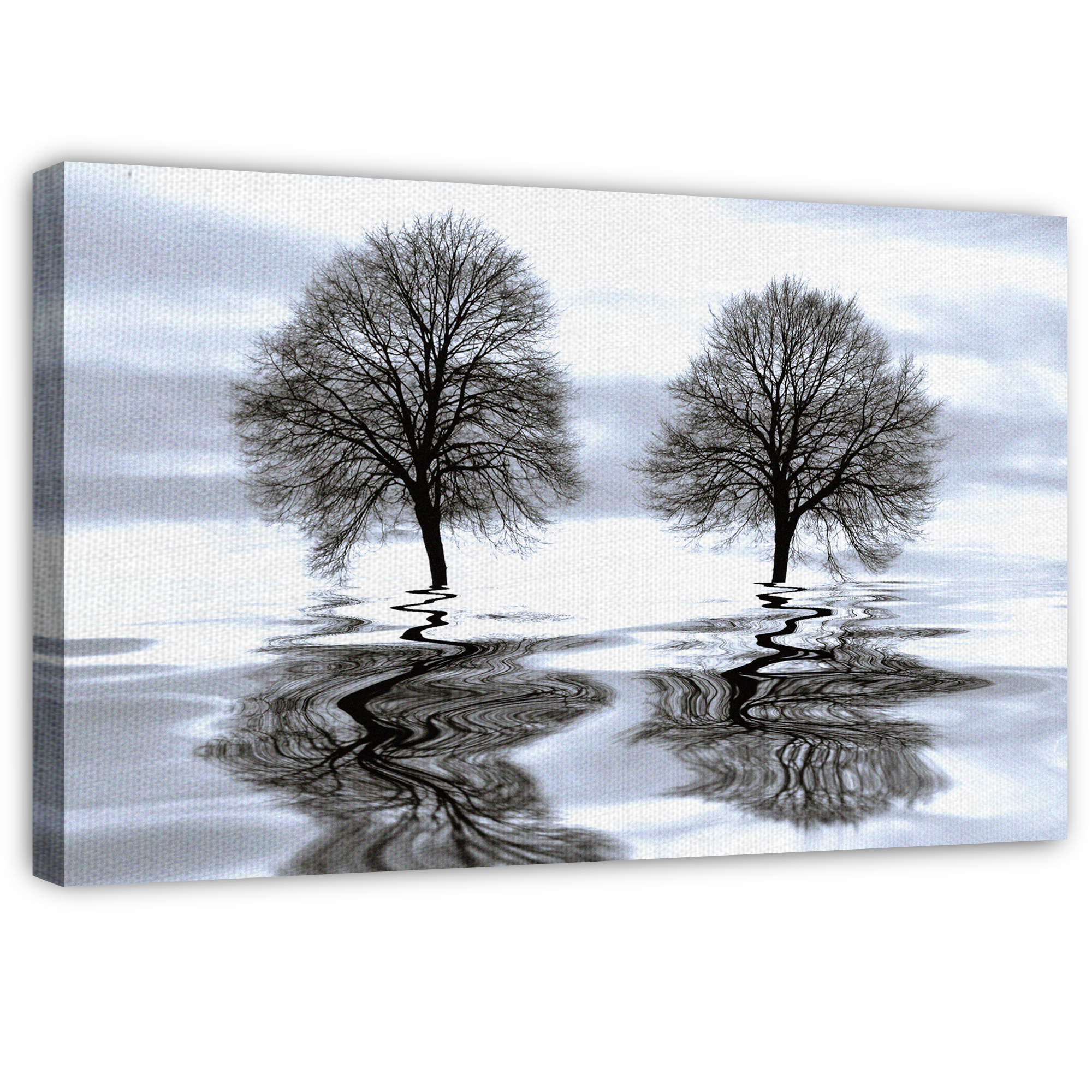 Masterpiece Art Gallery Imagine Tree Reflection by Ilona Wellmann Canvas Photo Art Print 22" x 28"