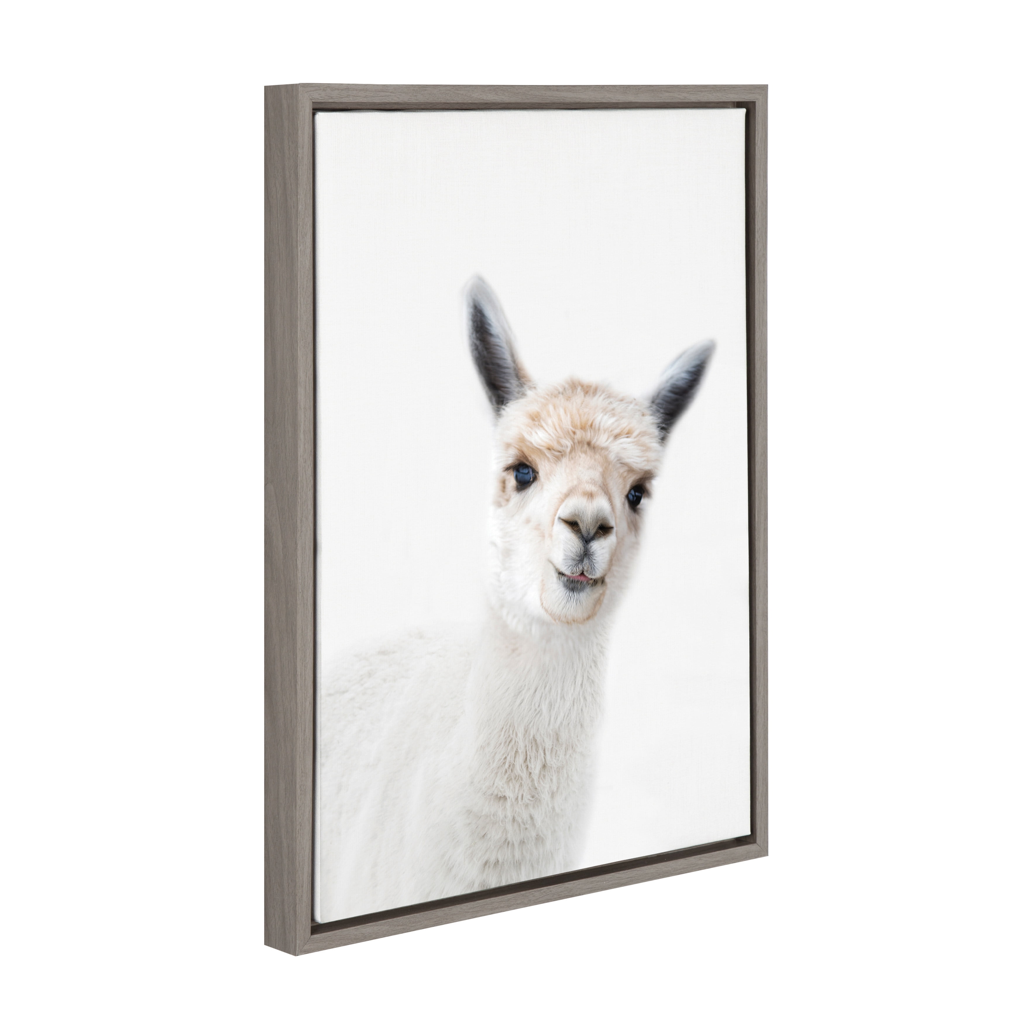 Kate and Laurel Sylvie Studio Alpaca Animal Print Portrait Framed Canvas Wall Art by Amy Peterson, 18x24 Gray