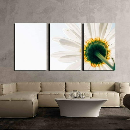 - wall26 - 3 Piece Canvas Wall Art - Closeup of Daisy Flower on White Background - Modern Home Decor Stretched and Framed Ready to Hang - 16
