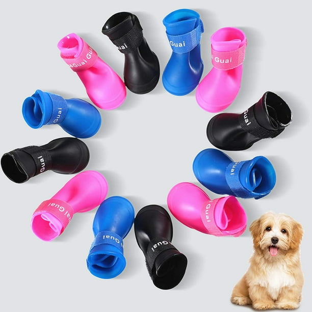 Puppy in rain boots sale