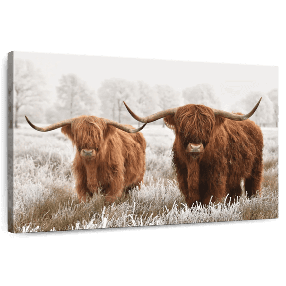 Elephant Stock Hairy Scottish Highland Cows Wall Art - Horizontal Canvas Wall Art - Living Room Wall Decor - Animal Canvas - Beige And Brown Decor - 12" x 8"