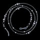 thumbnail image 2 of Lady Girls Beads Cord Chain String Correa Gafas de sol Eyeglass Reader Lanyard Negro jinwen Collar de gafas, 2 of 8
