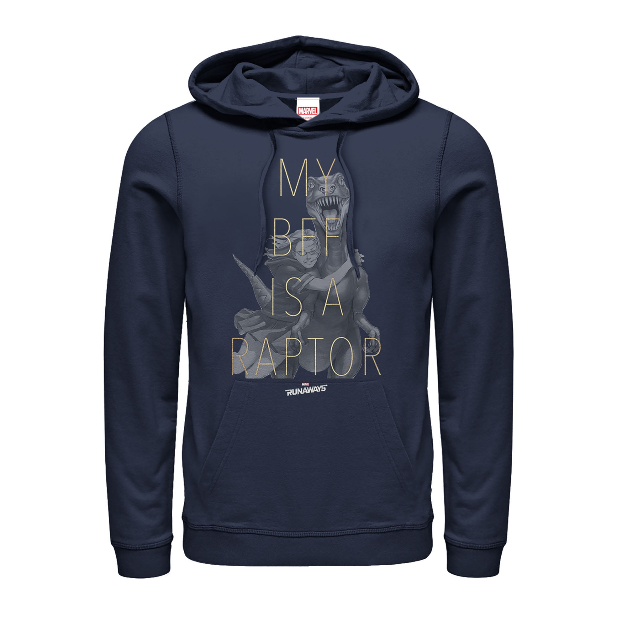 raptors old logo hoodie