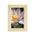 thumbnail image 1 of Lotus verano perfecto Escritorio de madera Arte Pintura 5x7 pies Marco de foto, 1 of 4