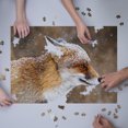 thumbnail image 3 of Red Fox in Snow (1000 Piece Puzzle, Size 19x27, Challenging Jigsaw Puzzle for Adults and Family, Made in USA), 3 of 4