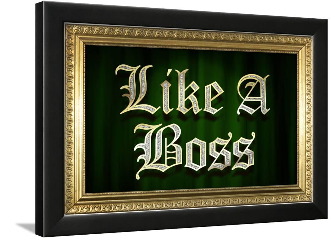Like A Boss Faux Frame Humor Poster Framed Wall Art Like A Boss Faux Frame Humor Poster Framed Wall Art