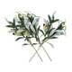 thumbnail image 2 of 3pcs Ramas de oliva Tallos de olivo de oliva, 2 of 6