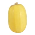 thumbnail image 1 of Calabaza spaghetti por kilo, 1 of 3