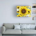 thumbnail image 3 of Canvas Wall Art - Clive Branson 'Sunflower' Wall Art for Living Room, Bedroom, or Office Décor by Trademark Fine Art - 24 x 18 Inches, 3 of 4