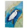 thumbnail image 1 of Betsy Drake GT399 Serviette d'Invité Droit d'Aigrette - 20 x 20 Po., 1 of 1
