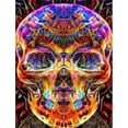 thumbnail image 1 of Kit de pintura de diamantes 5d por números, kit de pintura de diamantes completo con calaveras, kit de pintura de diamantes para adultos, kit de arte con diamantes, bordado de diamantes de imitación, 1 of 5