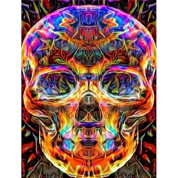 Diy 5d Diamond Painting By Number Kit, Full Diamond Painting Skull, Diamond Painting Kit For Adult, Diamond Art Kit Rhinestone Embroidery
