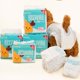 thumbnail image 5 of 10 piezas/bolsa de pañales para perros, pañales desechables a prueba de fugas para perros y hembras, pañales fisiológicos de súper absorción para cachorros, 5 of 5