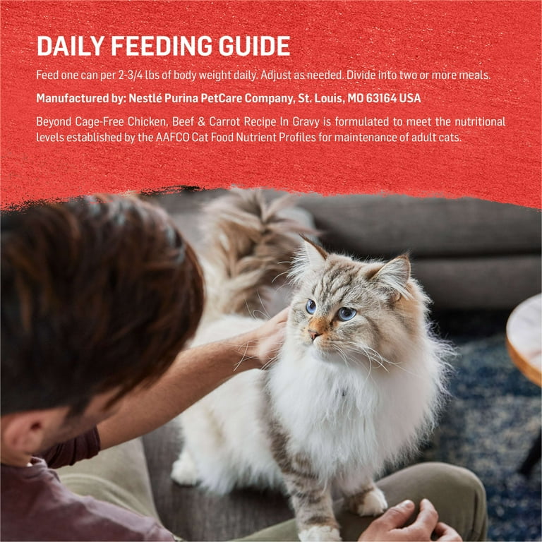 Purina Beyond Cage Free Chicken Beef and Carrot Recipe In Wet Cat