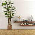 thumbnail image 4 of Vintage Home Artificial Faux Real Touch 75" Tall Scindapsus Aureus With Burlap Kit And Fiberstone Planter, 4 of 4