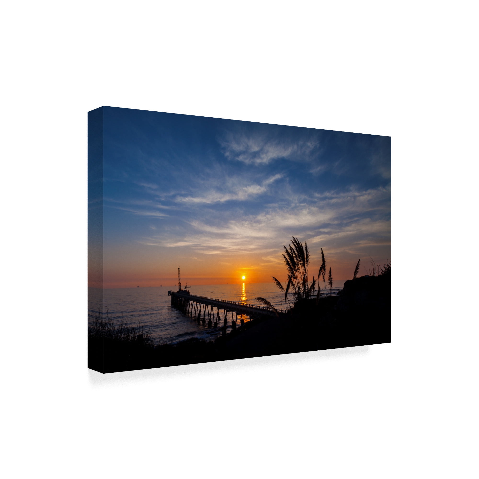 Trademark Fine Art 'Perfect Sunset Silhouette' Canvas Art by Chris Moyer