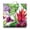Exotic Fl, variant on Summer Floral Meditation Cushion - Supportive Square Seat with Botanical Country Aesthetic