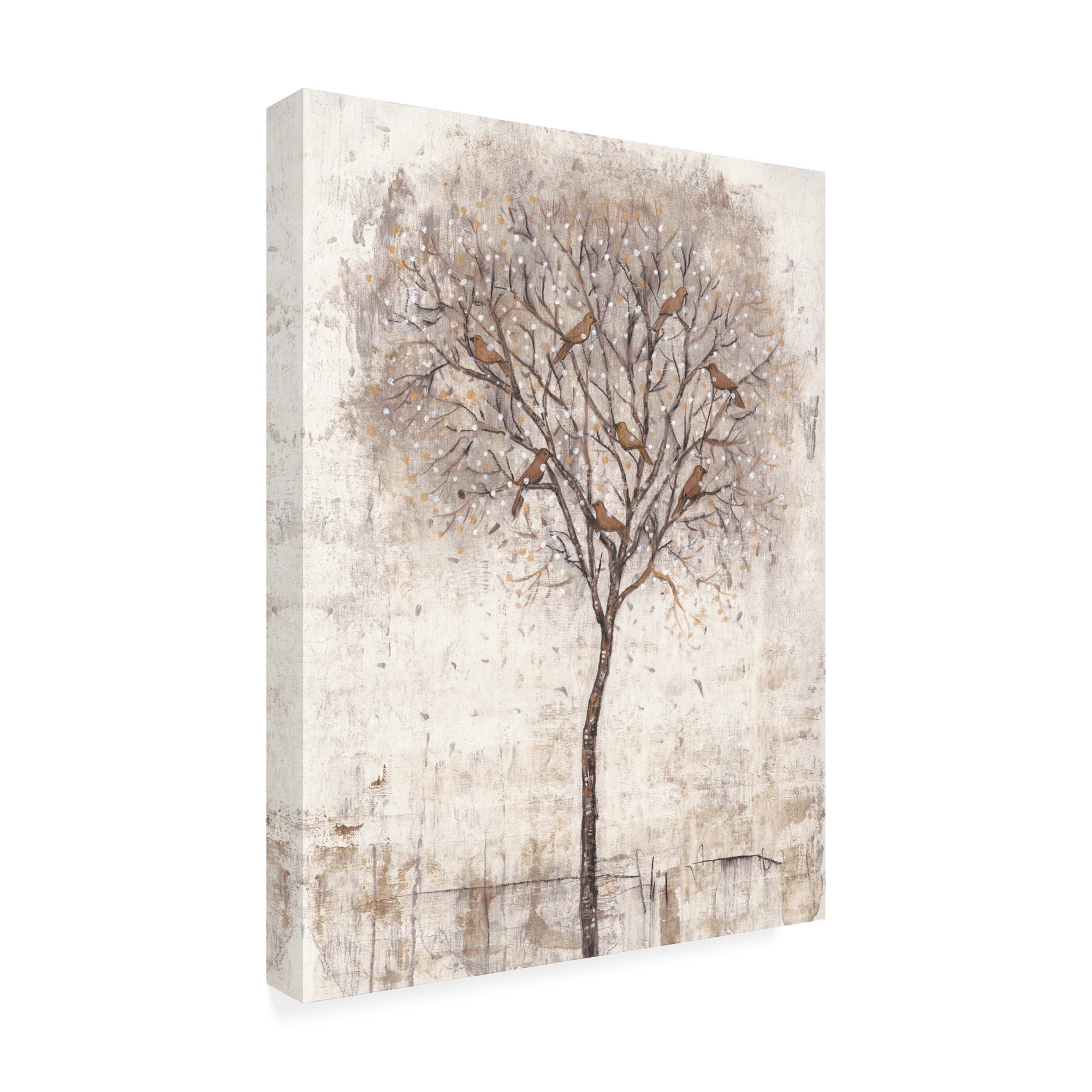 Trademark Fine Art 'Tree of Birds I' Canvas Art by Tim OToole