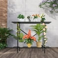 thumbnail image 2 of 2 Tier Metal Sturdy Plant Stand, Narrow Plant Stand, Plant Stand for Living Room, Foyer, Study, Flower Room, Garden, Balcony, 220.46 LBS Capacity, Black 37.4*11.81*4.72in, 2 of 9