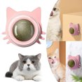 thumbnail image 1 of Pared Con Hierba Gatera para Masticar Gatitos Limpieza Dientes Juguete para Morder para Gatos (rosa), 1 of 9