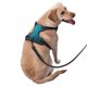 thumbnail image 2 of Balery Blue to turquoise Arnés para Perros Grandes Antitirones, Arnés con Correa para Gato, Arnés Tipo Chaleco para Perros Pequeños-X-Large, 2 of 6