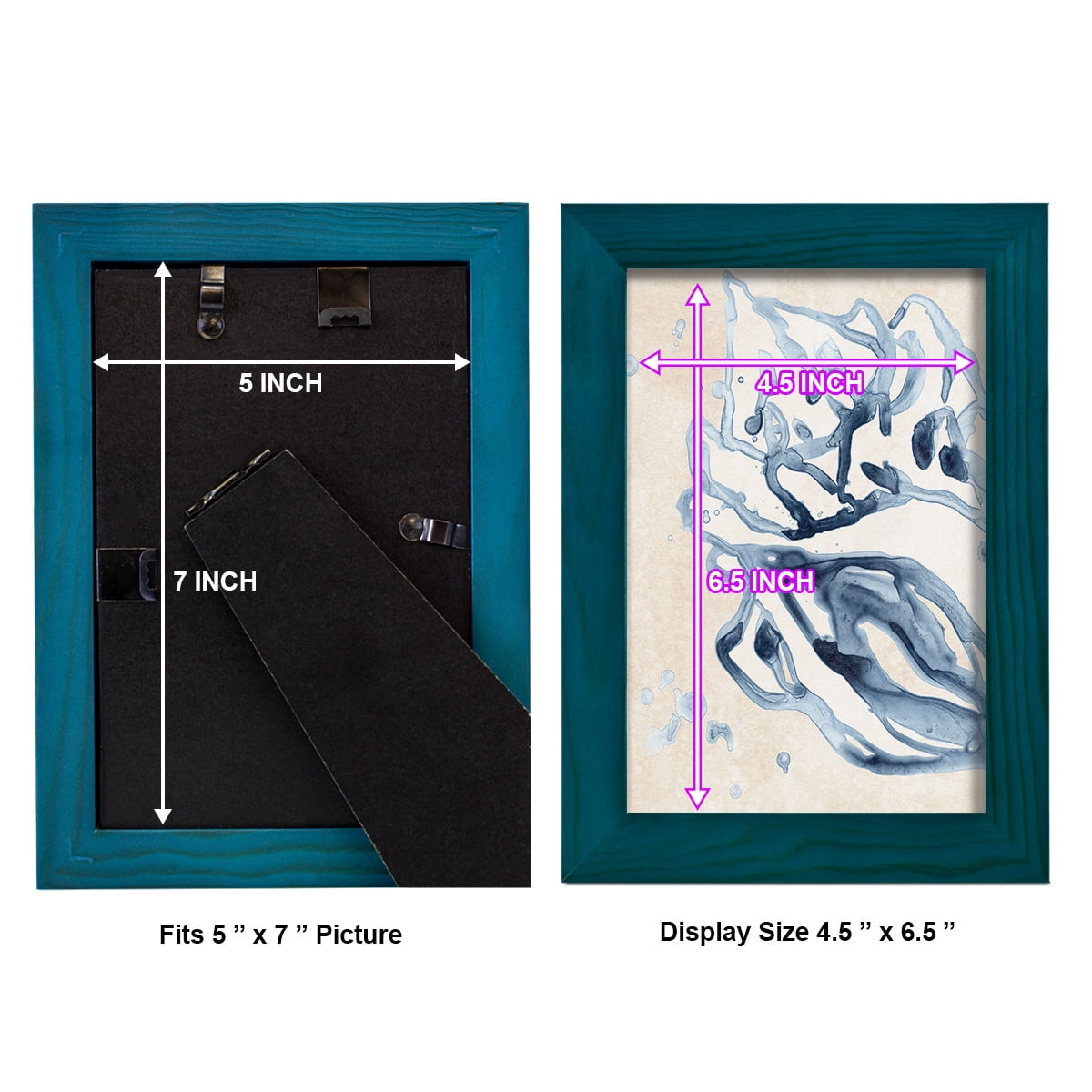 Water Shells II - Framed Print w/glass - Ocean Blue