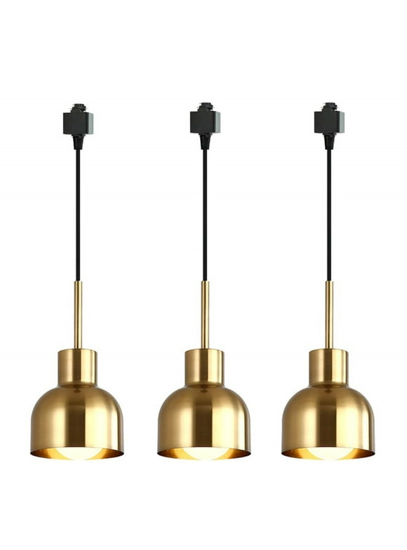 Track Pendant Lights in Track Lighting
