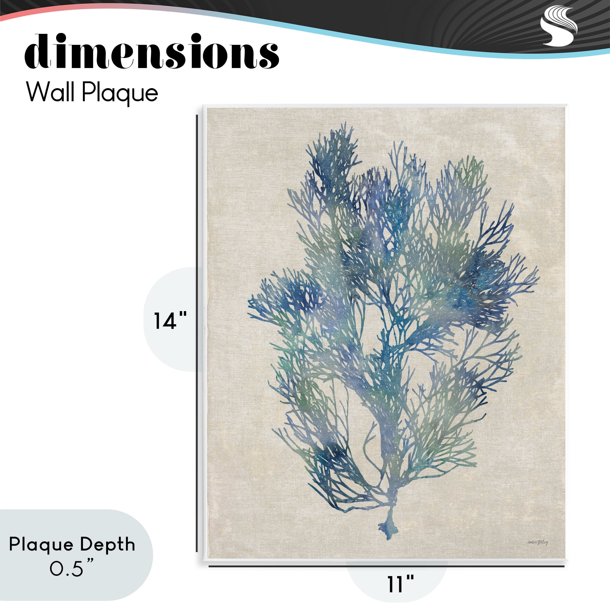Stupell Industries Misty Blue Coral Study Wall Plaque Art, design by Amber Sterling