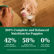NUTRO NATURAL CHOICE Chicken & Brown Rice Dry Dog Food for Large Breed Puppies, 30 lb. Bag
