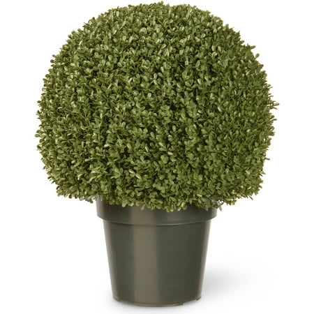 National Tree 22" Mini Boxwood Ball with Green Pot
