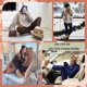 thumbnail image 5 of Leggings de cintura alta para mujer Pantalones suaves, 5 of 5