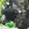 thumbnail image 4 of ADDHAT 6Ud Decorativas Artificiales Para Acuario Natural Y Duradero Color, 4 of 6