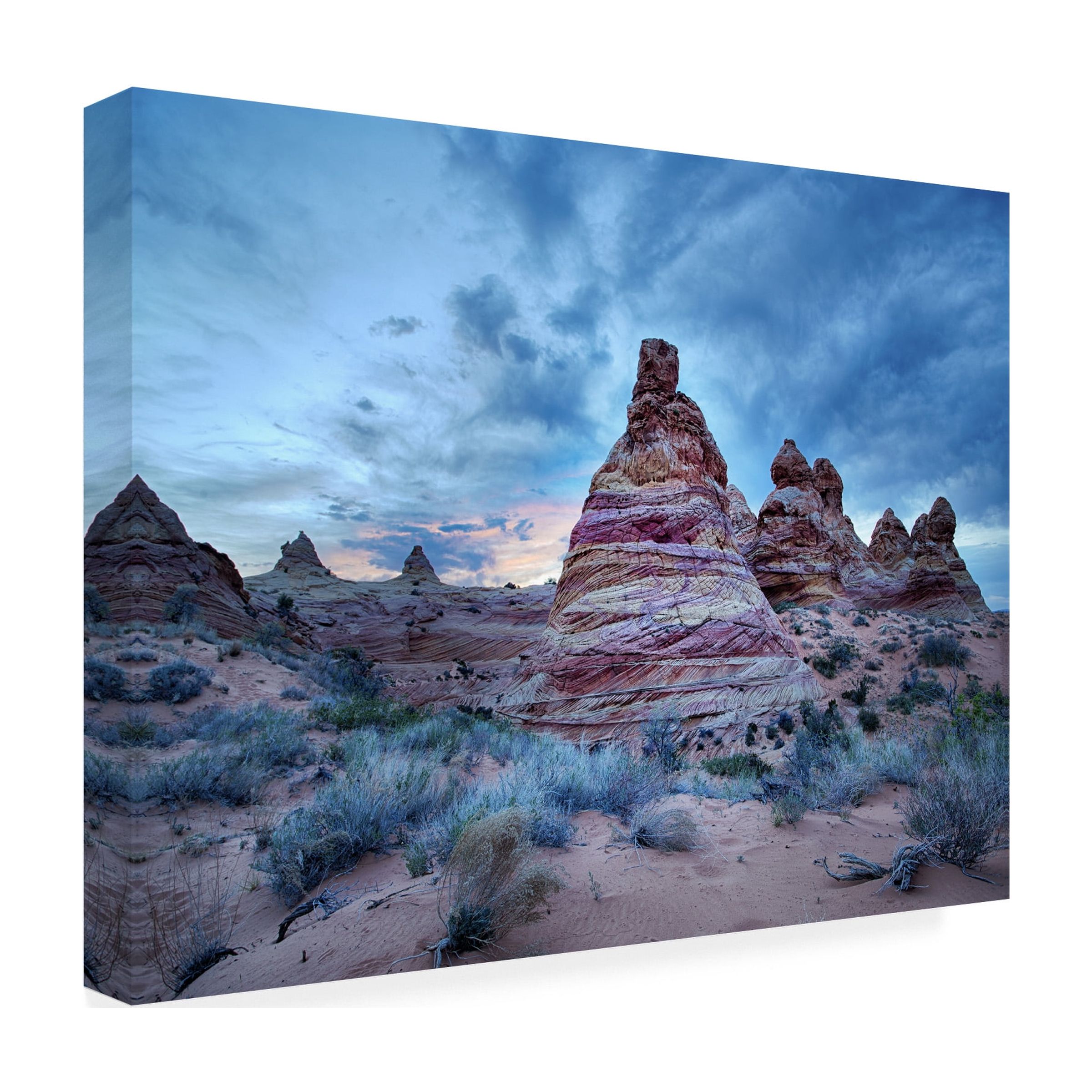 Trademark Fine Art "Cottonwood I" Canvas Art by Moises Levy