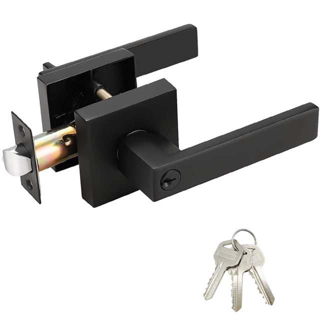 Poignée de Porte avec Serrure et Clés pour Chambre, Leviers de Porte d'Intimité Extérieur/intérieur avec Serrure, Poignée de Porte Intérieure Robuste, Réversible pour Gauche