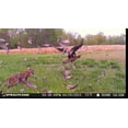 thumbnail image 3 of Stealth Cam Deceptor NO GLO 80ft Detection & IR Range 40MP Photo 1440P HD Video Capture Remote App Contol Wireless Hunting Cellular Trail Camera - Available on AT&T & Verizon, 3 of 8