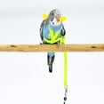 thumbnail image 3 of Cute Winged Harness and Leash for Small Birds Flying Training Outdoor Adjustable Winged Harness and Leash for Parrots Pigeons, 3 of 4