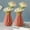 Watermelon [2Pack], variant on Djiypn 2 Pack Ceramic Vases, Modern Home Decor, 6 inches Dried Flower Vases, Boho Home Decor for Centerpieces Wedding Dinner Table Party Living Room Office Bedroom